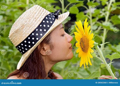 Girl with sunflowers stock photo. Image of nature, female - 28563368