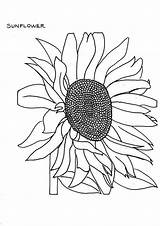 Fading Sunflower Coloring Page  Download & Print Online Pages sketch template