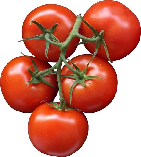 Cherry tomato Clip art - tomato png download - 2421*2400 - Free Transparent Cherry Tomato png ...