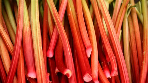 Peel Rhubarb Into Ribbons For A Sweet Twist On A Nostalgic Candy