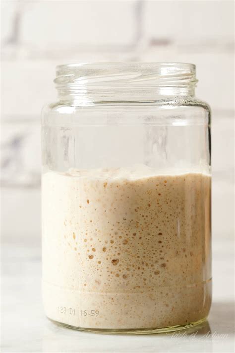 How to Make Sourdough Starter - Taste of Artisan