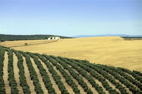 Sierra de Alcaraz - Castilla la Mancha - España