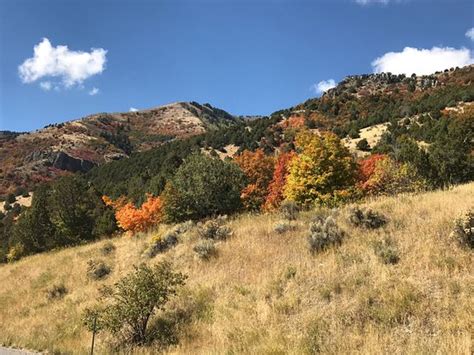 Logan Canyon Scenic Drive - All You Need to Know Before You Go (with ...