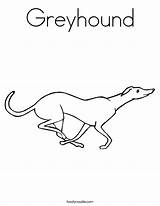 Whippet Clipart Greyhound Clip Outline Coloring Dog Template Line Pages  sketch template