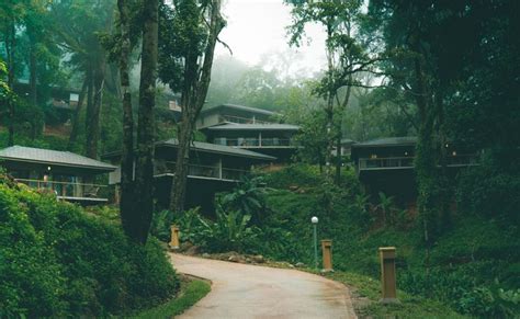 Ayatana Coorg Travelogue — HOW I WANDER WHAT YOU ARE | Luxury resort, Travel destinations in ...