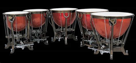 Timpani globe choice limited