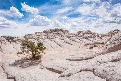 28 Photos of White Pocket, Arizona That Will Blow Your Mind ...