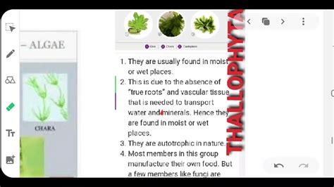 PLANT TAXONOMY - YouTube