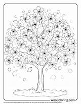 100  Tree coloring Pages Free PDF To Print Woo Coloring sketch template