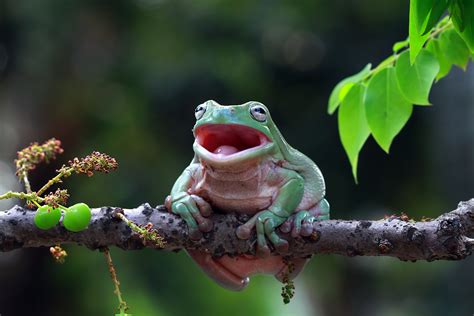 What's so funny? - CGTN