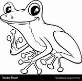 Cute Little tree frog Cartoon coloring book Page Vector Image sketch template