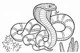 Rainforest Snake Coloring Pages sketch template