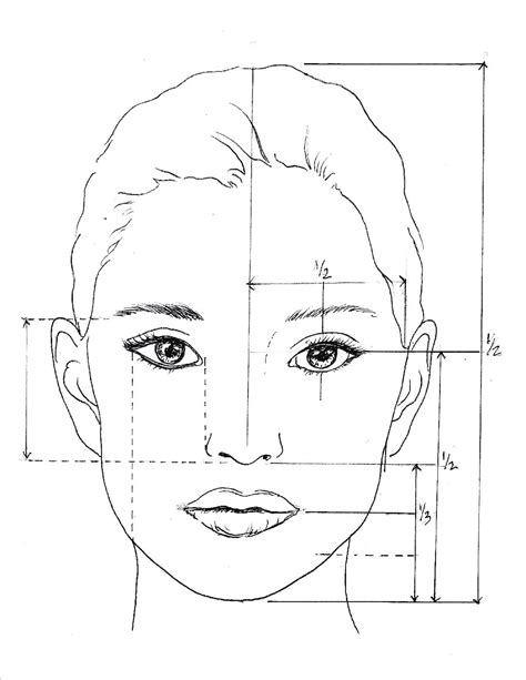Best How To Draw A Face Proportions in 2023 Check it out now | howtodrawsun