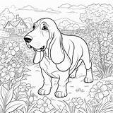 Basset Hound Puppy Adventure Coloring Pages  Color Paper sketch template