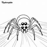 Trapdoor spider coloring Page And Outline Vector Design  Premium AI sketch template
