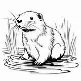 Premium AI Image  Simple Beaver Coloring Pages For Kids sketch template