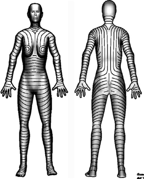 [DIAGRAM] Skin Tension Lines Diagram Arm - MYDIAGRAM.ONLINE