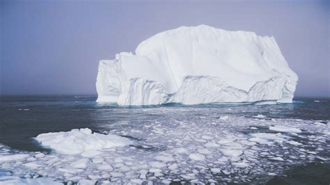 Newfoundland and the world’s biggest iceberg parade | Adventure.com