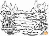 Ponds Coloring Page For Kids  Free Printable With Lily Pads And Koi Fish sketch template