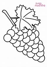 Grapes Coloring Pages And Drawing For Kids sketch template