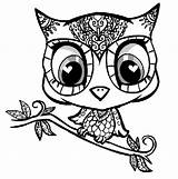 Animals With Big Eyes Coloring Pages sketch template