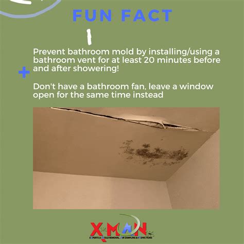 How to prevent bathroom mold | Mold in bathroom, Get rid of mold, Mold ...