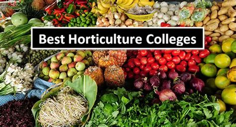 best schools for horticulture and botany – CollegeLearners.com