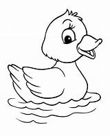 40  Duck Shape Templates Crafts And Colouring Pages sketch template