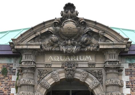 Making a splash: Belle Isle Aquarium and Conservatory reopening