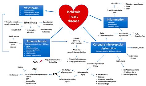 Congestive Heart Failure Pathophysiology Concept Map - United States Map