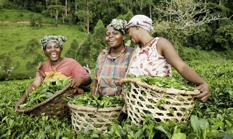 Nigeria to Host African Rural Women Farmers - Amazons Watch Magazine