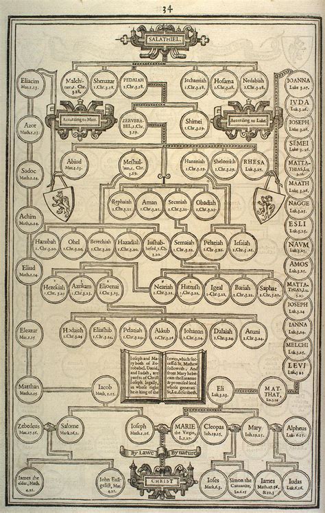 jesse james family tree descendants - Herma Linder