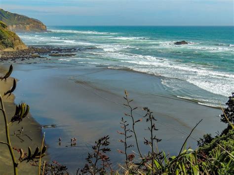 ULTIMATE Guide to Visiting Muriwai Beach, New Zealand (2024!)