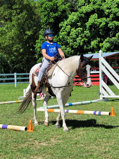 Horseback Riding Lessons – FAMILY HORSE ACADEMY