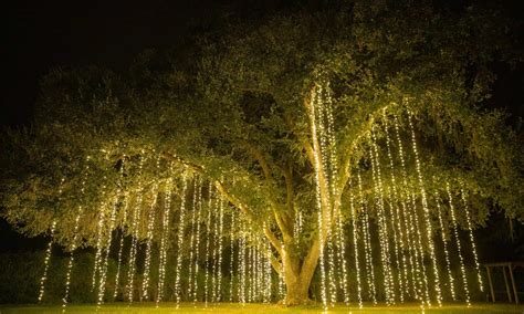 How to Choose Solar String Lights
