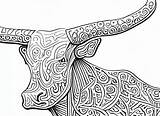 Longhorn Coloring Page sketch template