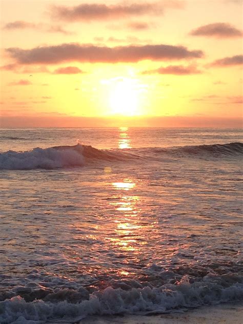 Beautiful beach in Del Mar San Diego!!! | Del mar san diego, Beautiful beaches, San