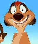 Voice of Timon in the Lion King franchise • Behind The Voice Actors