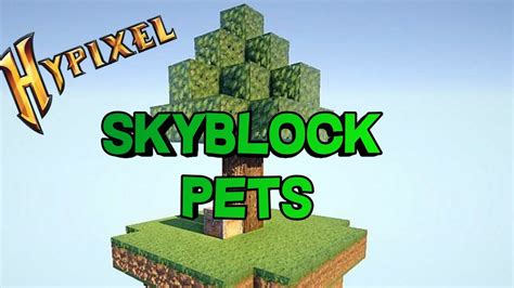 SkyBlock Pet Update (Hypixel) - YouTube