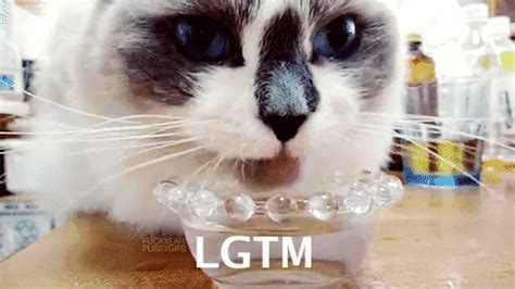 LGTM CAT