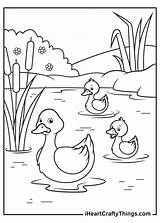 Printable Duck Coloring Pages sketch template