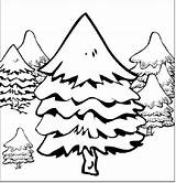 Spruce Forest Covered With Snow coloring page  Download Print Or sketch template