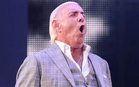 Ric Flair Is 'Happy' With His Progress In 'The Man' Trademark Issues