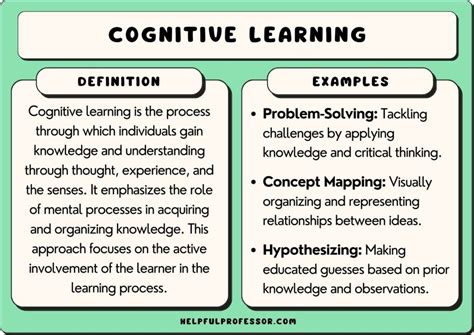 29 Cognitive Learning Examples (2024)