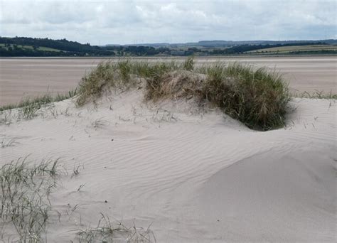 New sand dune © Oliver Dixon cc-by-sa/2.0 :: Geograph Britain and Ireland