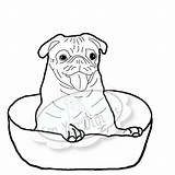 Pug coloring pages To Download And Print For Free sketch template