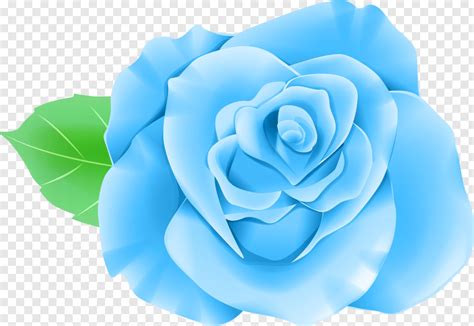 Single Flower - Blue Single Rose Png Clip Art Image, HD Png Download - 7903x5460 (#12803576) PNG ...