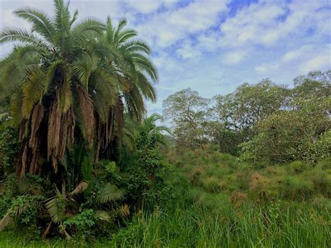 “When it rains, my heart sinks”: Climate change takes a toll in Uganda | Global Environment Facility