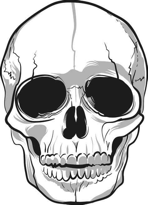 Download High Quality skull transparent Transparent PNG Images - Art Prim clip arts 2019