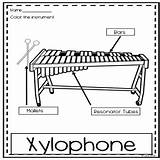 Instruments Of The Orchestra Coloring Pages  Percussion Family TPT sketch template